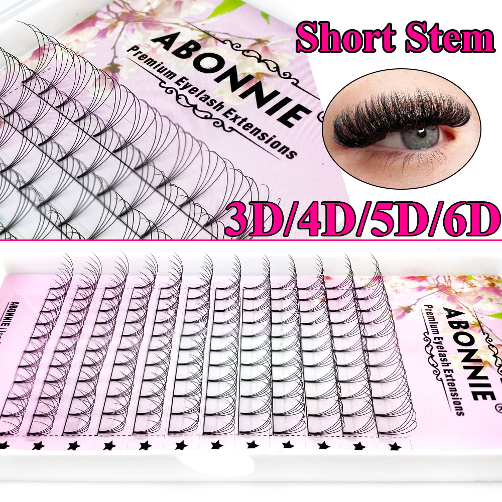 Abonnie 6D Narrow Fan Vorgefer – Eyelash Extension Review Bewertung und Preis