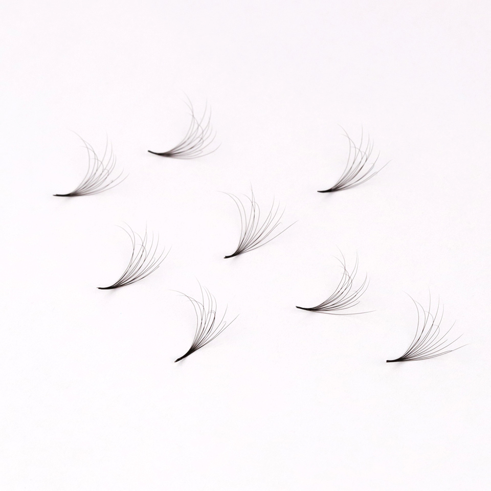 AGUUD 6D Doppelschichtige Flau – Eyelash Extension Double Volume Bewertung und Preis